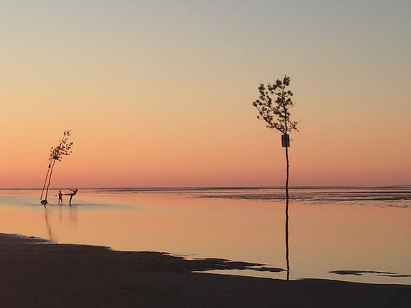 Ballet, low tide, Rock Harbor, Cape Cod